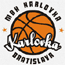 https://img.sezsk.com/img/basketball/team/0c2f73d2ab7041cf90029a20deff7f17.gif