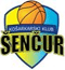 https://img.sezsk.com/img/basketball/team/2c3cc77a90a24ffc95c5357180cf13ac.gif