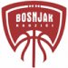 https://img.sezsk.com/img/basketball/team/33f6f67288444f749ded3d3be97f3565.png