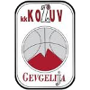 https://img.sezsk.com/img/basketball/team/4b06fe02aaa7da5901e5698485059da0.png