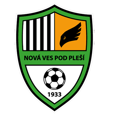 https://img.sezsk.com/img/football/team/0693e328279ef3d525dc77ce2cb03a92.png