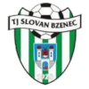 https://img.sezsk.com/img/football/team/1e3cab433aa0780200515cc345ba594e.png