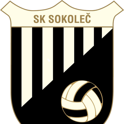 https://img.sezsk.com/img/football/team/227569a41c55cb3ee7cc13828304fe80.png